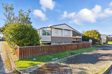 Photo of property in 12 Douglas Street, Levin, 5510