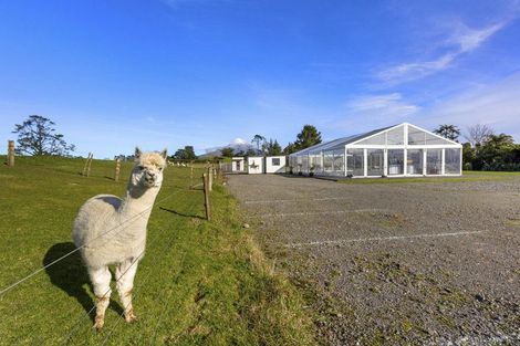 Photo of property in 75 Lepper Road, Inglewood, 4386