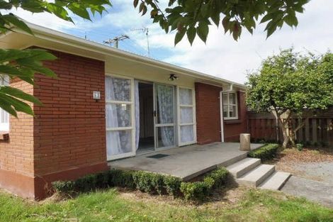 Photo of property in 43b Sillary Street, Hamilton East, Hamilton, 3216