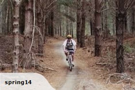 Photo of property in 35 Eastwood Rise, Waimairi Beach, Christchurch, 8083