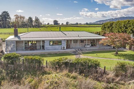 Photo of property in 382 Kimberley Road, Levin, 5571