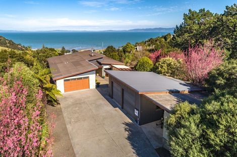 Photo of property in 25a Tapu Coroglen Road, Tapu, Thames, 3575