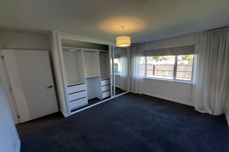 Photo of property in 41 Moreland Avenue, Papanui, Christchurch, 8053
