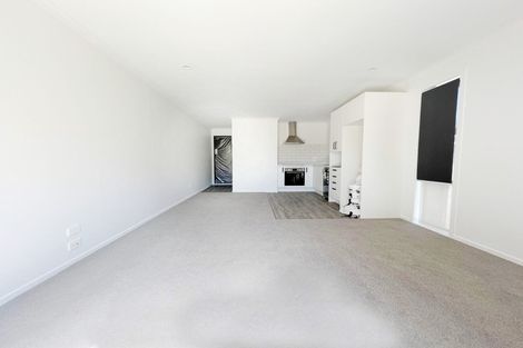 Photo of property in 2/2 Searancke Place, Fairfield, Hamilton, 3214