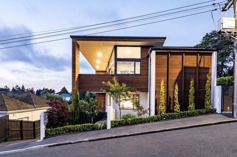 Photo of property in 18 Selkirk Street, Roslyn, Dunedin, 9010