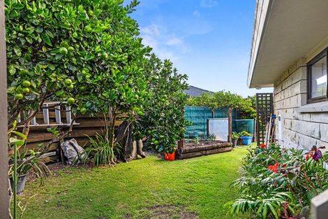 Photo of property in 26b Hibiscus Avenue, Mount Maunganui, 3116
