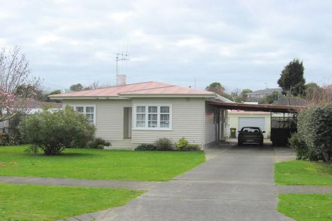 Photo of property in 30 Dudley Street, Levin, 5510