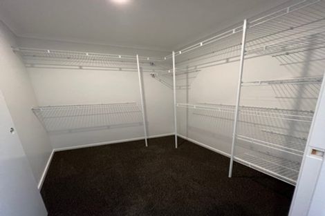 Photo of property in 14 Ash Lane, Omokoroa, 3114