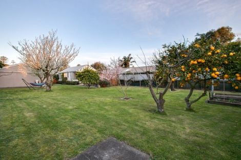 Photo of property in 49 Mcgrath Street, Napier South, Napier, 4110