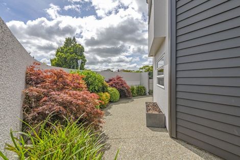 Photo of property in 42 Collingwood Street, Hokowhitu, Palmerston North, 4410