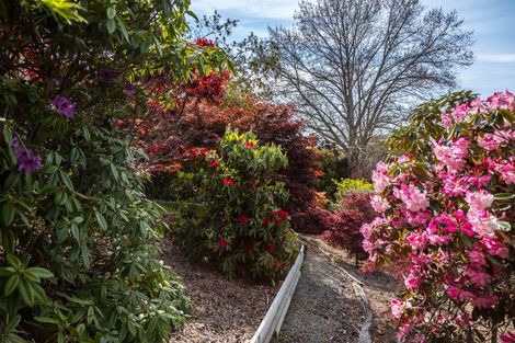 Photo of property in 252 Masterton Stronvar Road, Te Ore Ore, Masterton, 5890