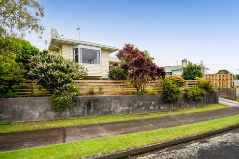Photo of property in 5 Watene Crescent, Waitara, 4320