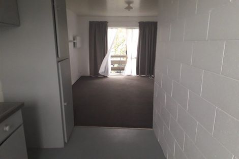 Photo of property in 236 Old Farm Road, Hamilton East, Hamilton, 3216