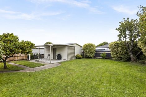 Photo of property in 410a Hemi Street, Raureka, Hastings, 4120