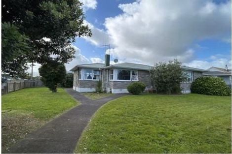 Photo of property in 16 Winchester Street, Levin, 5510