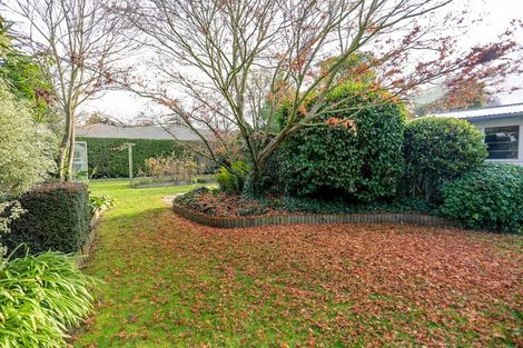 Photo of property in 107 Mersey Street, St Albans, Christchurch, 8014