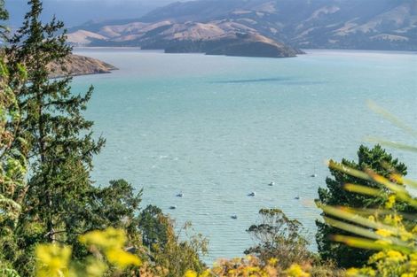 Photo of property in 23 Buxtons Road, Lyttelton, 8082