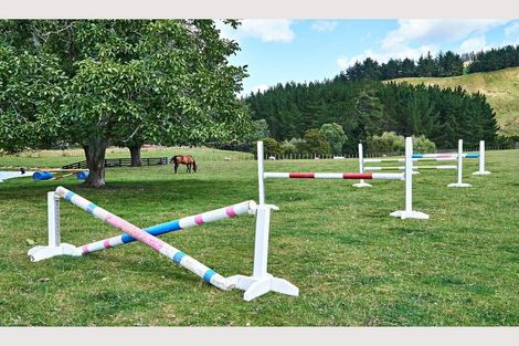 Photo of property in 921 Ngakoroa Road, Ormond, Gisborne, 4071