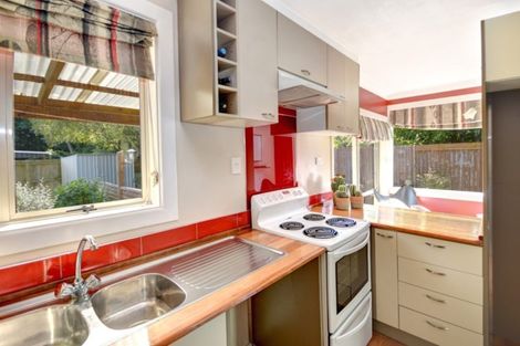 Photo of property in 127 Norwood Street, Normanby, Dunedin, 9010