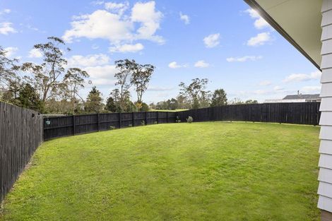 Photo of property in 49 Rosser Street, Huntly, 3700