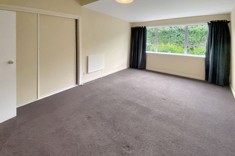 Photo of property in 166 Lyttelton Street, Spreydon, Christchurch, 8024