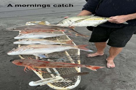 Photo of property in 5 Elley Drive, Carters Beach, Westport, 7825