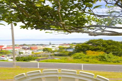 Photo of property in 132 Edward Street, Thames, 3500