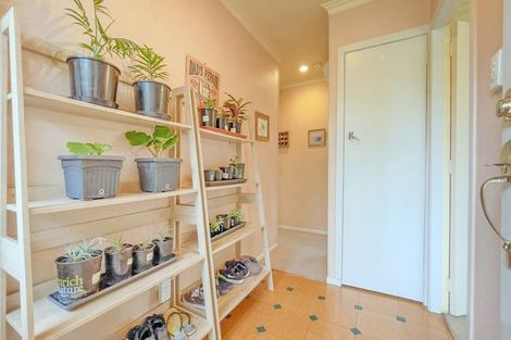 Photo of property in 11 Norrie Place, Hillcrest, Rotorua, 3015