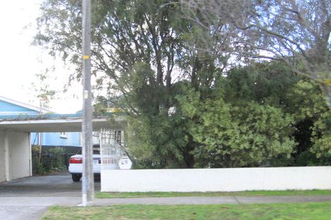 Photo of property in 49 Vigor Brown Street, Napier South, Napier, 4110