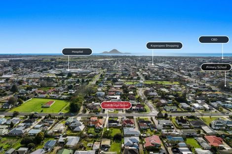 Photo of property in 23a Bridge Street, Whakatane, 3120