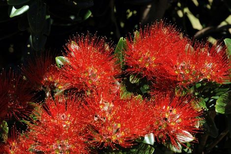 Photo of property in 24 Wells Place, Whitianga, 3510