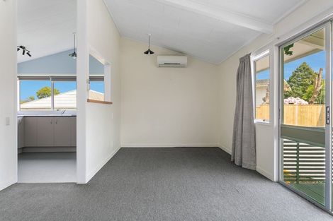 Photo of property in 65 Hinekura Avenue, Taupo, 3330