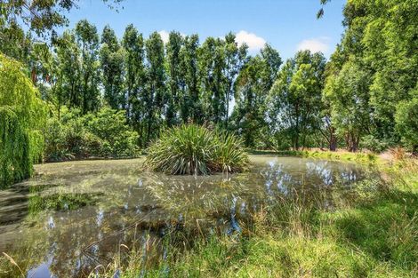 Photo of property in 869 Norfolk Road, Upper Plain, Carterton, 5791