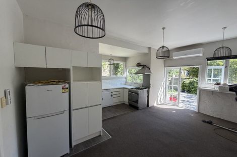 Photo of property in 29 Durham Street, Aro Valley, Wellington, 6021