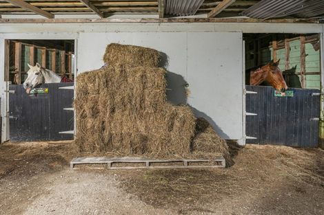 Photo of property in 19 Lloyd Road, Riverhead, Albany, 0793