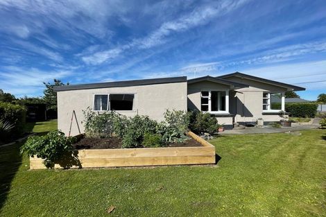 Photo of property in 49 Park Street, Winton, 9720