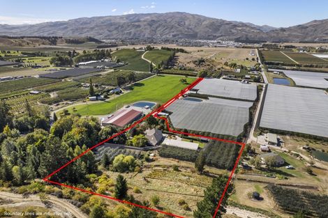 Photo of property in 244 Ripponvale Road, Cromwell, 9384