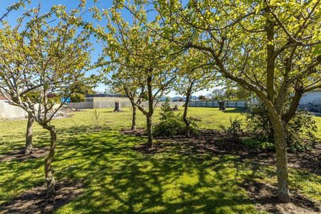 Photo of property in 386 Alabama Road, Riverlands, Blenheim, 7274