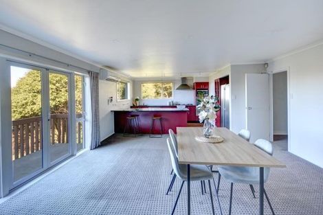 Photo of property in 45 Leven Street, Roslyn, Dunedin, 9010