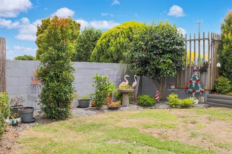 Photo of property in 2/77 Goulstone Road, Whakatane, 3120