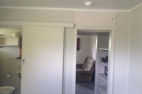 Photo of property in 124 Pukekapia Road, Rotongaro, Huntly, 3772