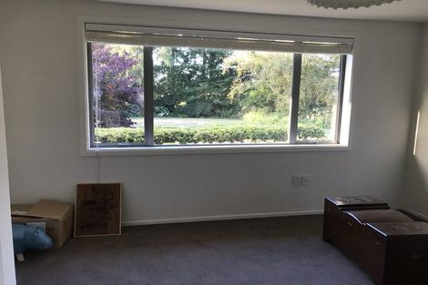Photo of property in 784 Hawkins Road, Marshland, Christchurch, 8051