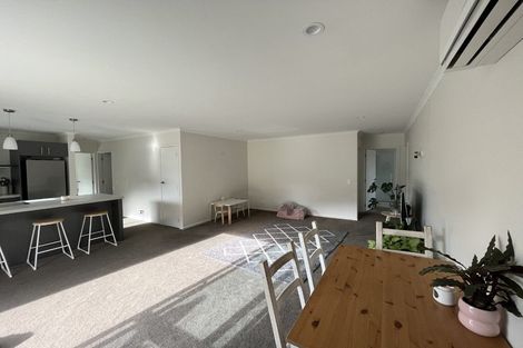 Photo of property in 336 Brook Street, The Brook, Nelson, 7010