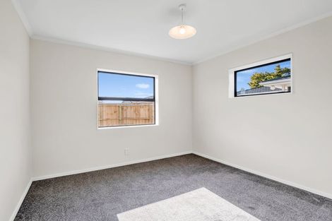 Photo of property in 28 Freyberg Street, Roslyn, Palmerston North, 4414