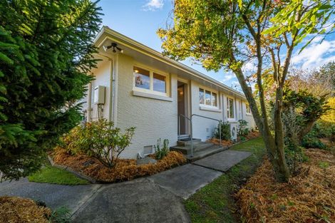 Photo of property in 53 Campbell Street, Geraldine, 7930