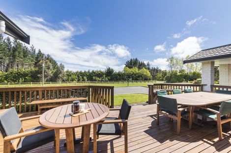 Photo of property in 294 Polson Hill Drive, Aokautere, Palmerston North, 4471