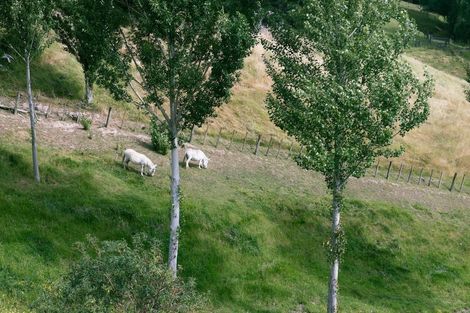 Photo of property in 96 Lane Road, Havelock North, 4130