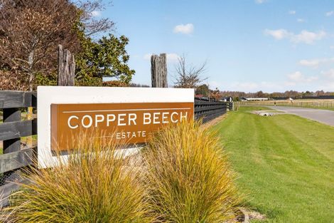Photo of property in 34 Copper Beach Road, Woodend, Kaiapoi, 7691