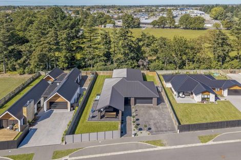 Photo of property in 3 Jag Way, Tinwald, Ashburton, 7700