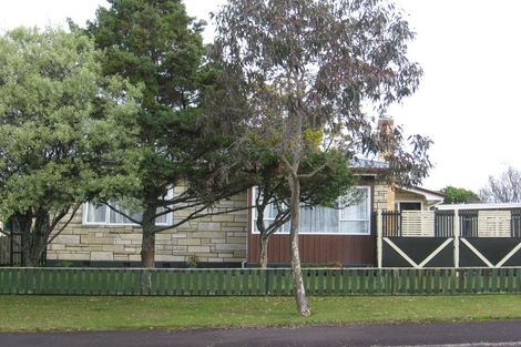Photo of property in 25 Ridout Street, Maeroa, Hamilton, 3200